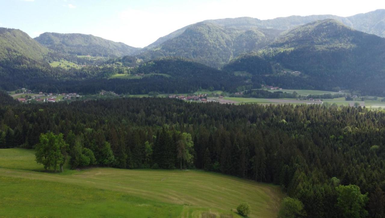 Apartment With Mountain View And Rivers Close By Smartno ob Dreti