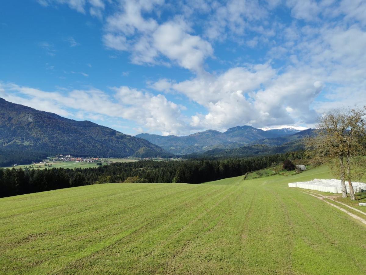 Apartment With Mountain View And Rivers Close By Smartno ob Dreti